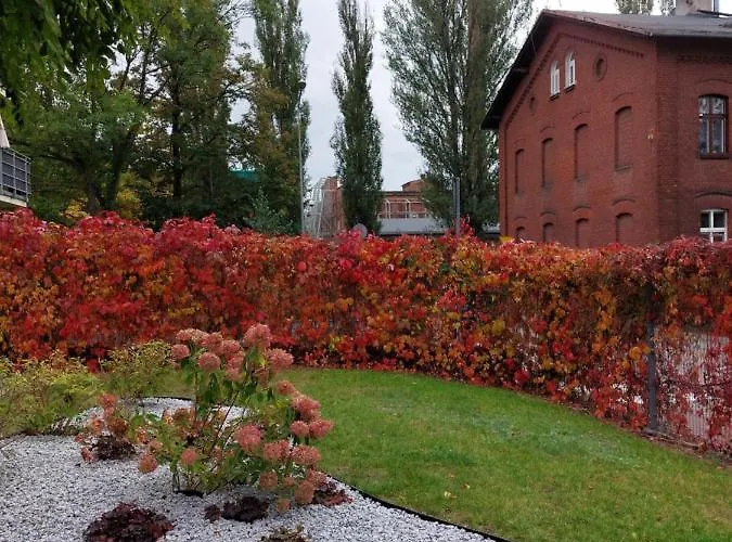 Box Apartament Tymienieckiego מלון *